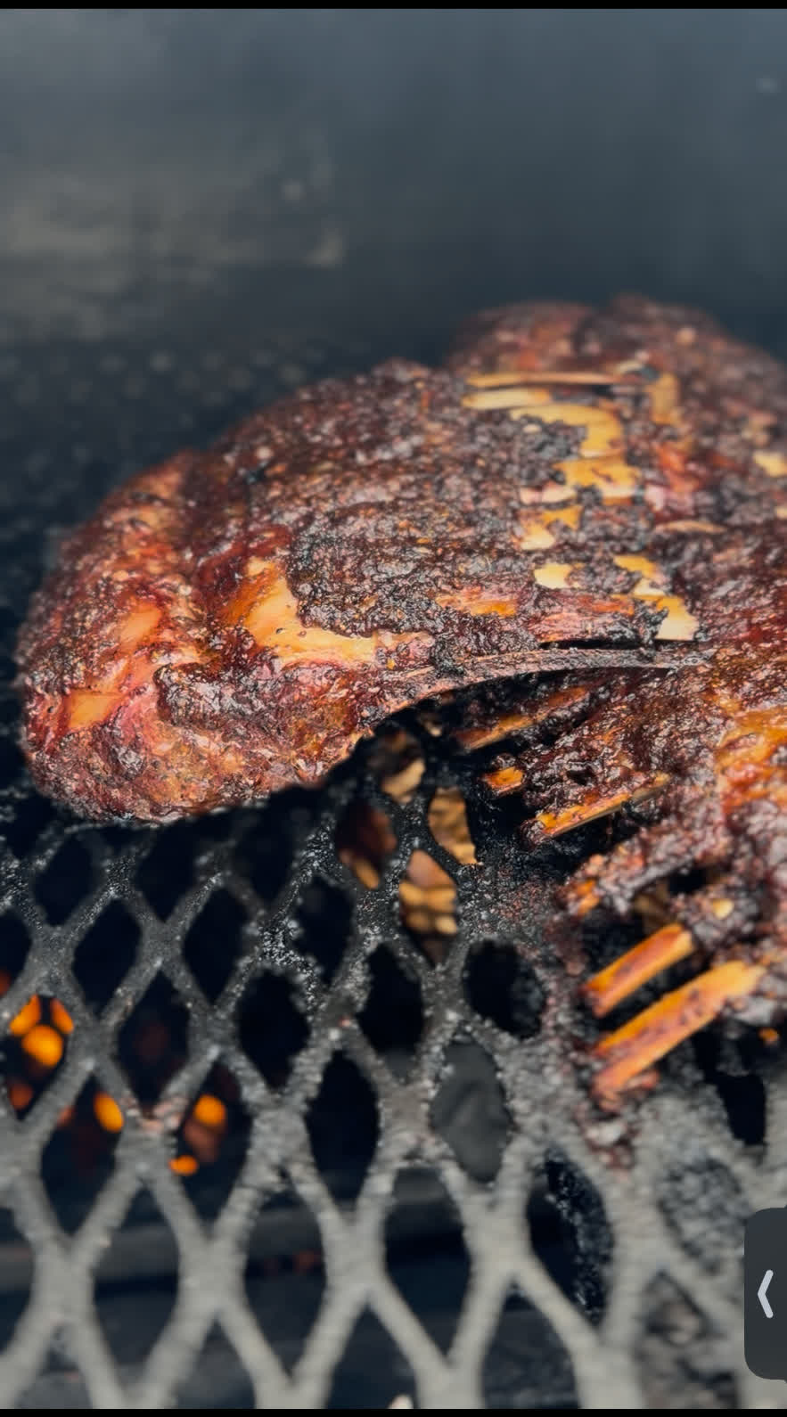 Dino Beef Ribs on the Smoker